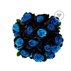 Meet your Posher, Penny